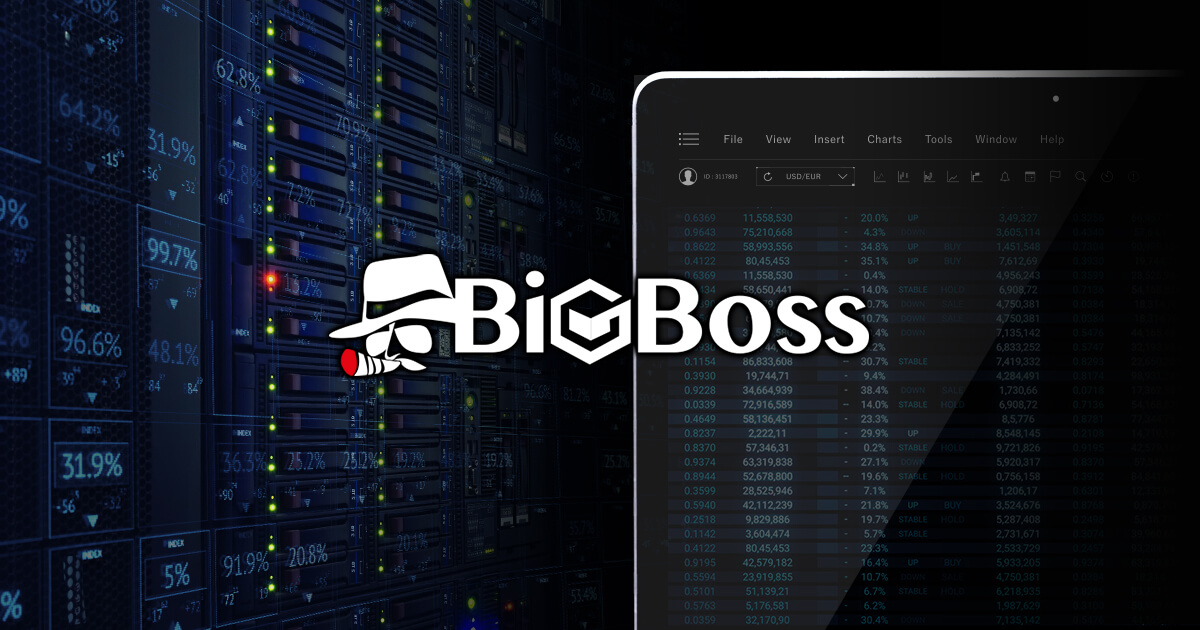 BigBoss（ビッグボス）主な特徴と評判