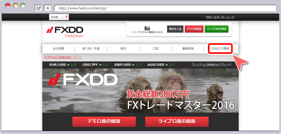 FXDDWEBサイト画面